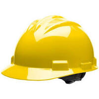 SPPE-HEAD PROTECTION